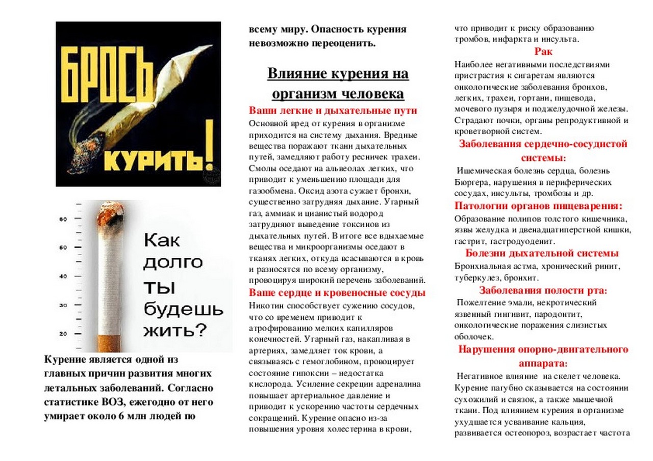 Изображения.